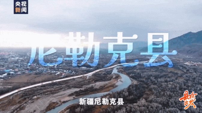 工作三年可分房，我也想去新疆养三文鱼